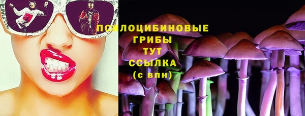 Альфа ПВП Беломорск
