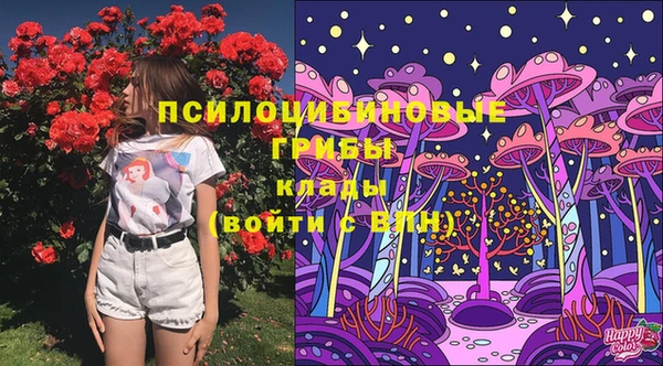 Альфа ПВП Беломорск