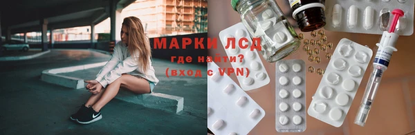 стаф Белокуриха