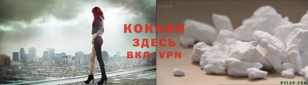 стаф Белокуриха
