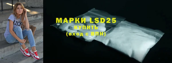 стаф Белокуриха