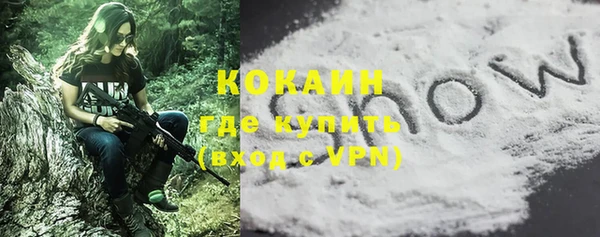 стаф Белокуриха