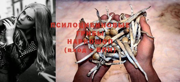 Альфа ПВП Беломорск