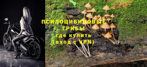 Альфа ПВП Беломорск