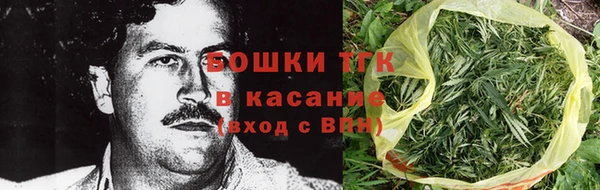 стаф Белокуриха
